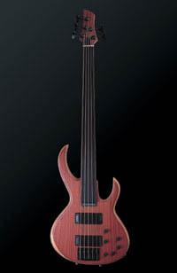 Schick Rhino 5 Fretless Bass - Baskytara