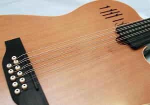 Godin Glissentar