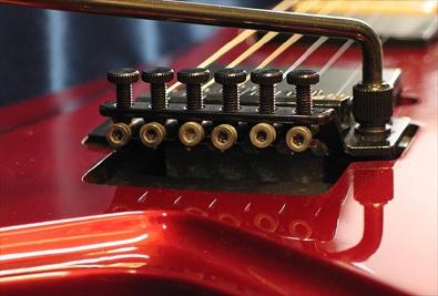 Floyd Rose