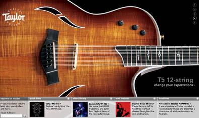 www tip - Taylor guitars