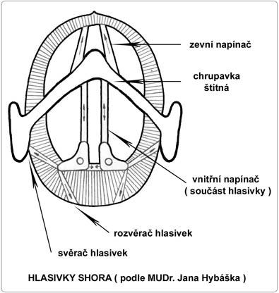 Zlo, zvyky a zpěv III - rozezpívání a správné výslovnosti samohlásek