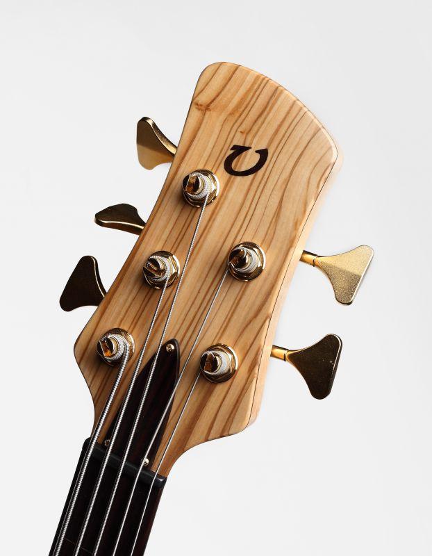 VIVIAN INSTRUMENTS: RHAPSODY FRETLESS