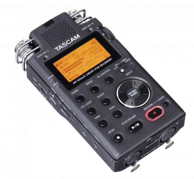 Tascam: DR-100