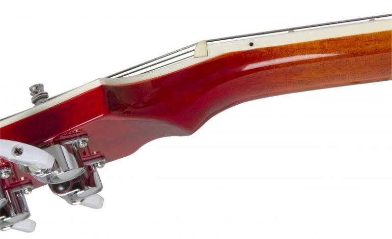Epiphone Limited Edition Ace Frehley