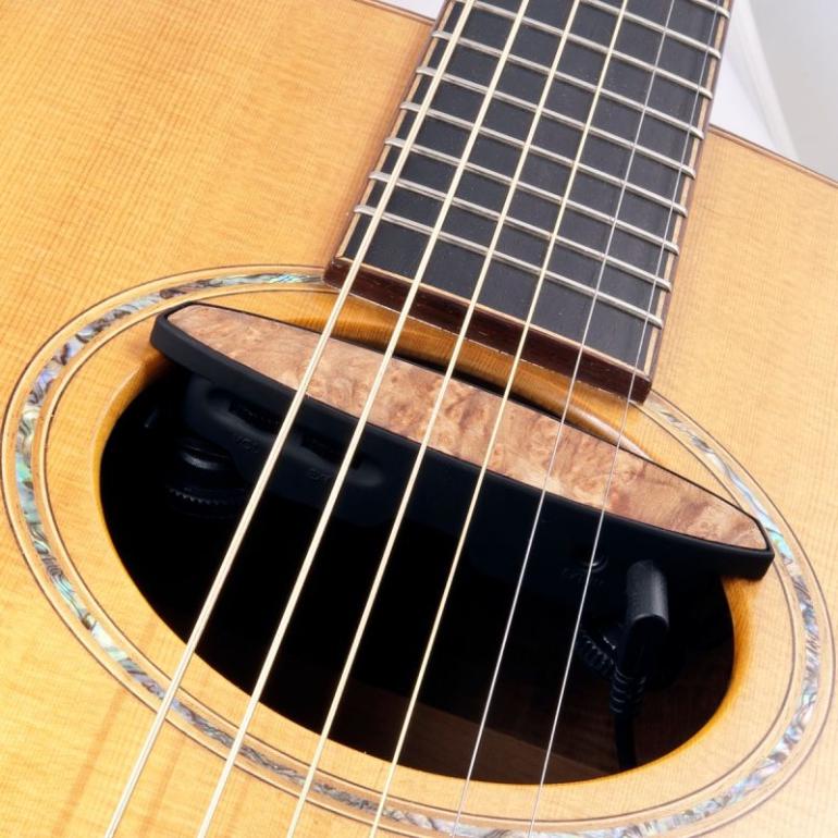 Schertler: AG 6 Magnetico