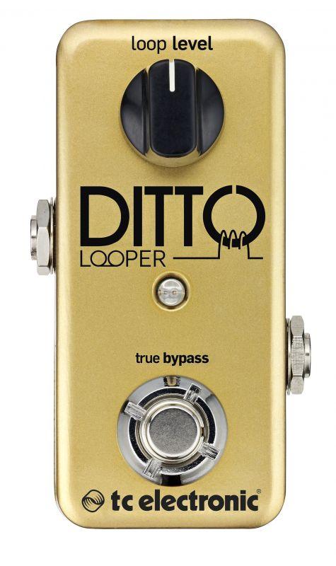 TC Electronic: Ditto Looper Gold