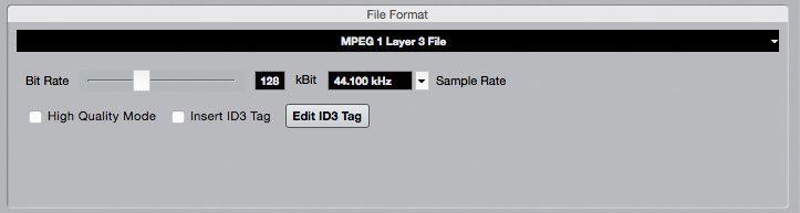 Mp3: Pro soubor typu mp3 ale nastavujeme úroveň komprese i vzorkovací frekvenci v sekci formát souboru.