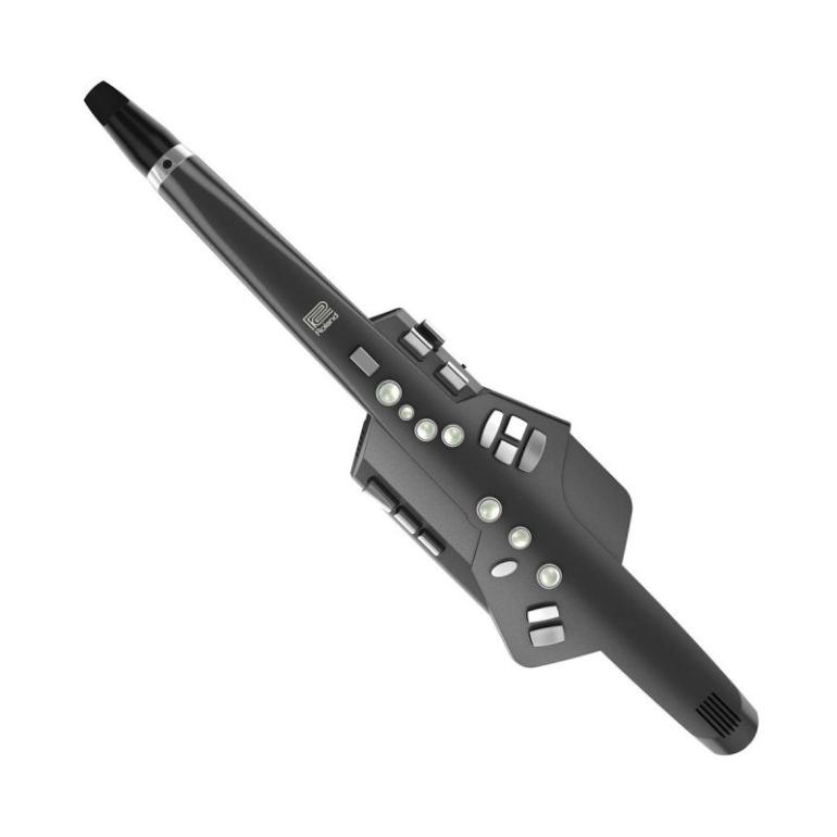 Roland: Aerophone AE-10G