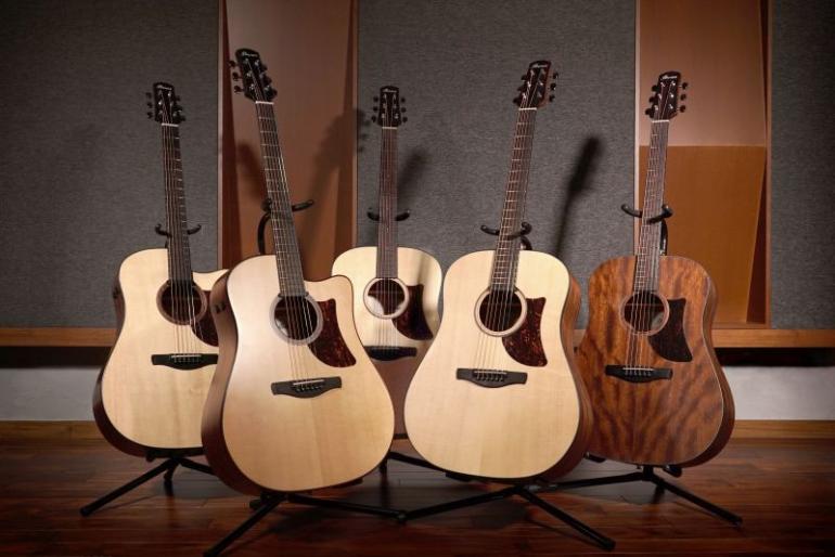 Ibanez: Advanced Acoustic