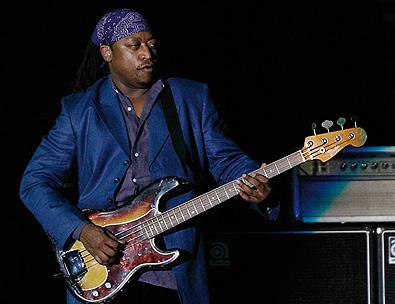 Darryl Jones - Pátý Stone - basový profil 