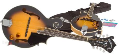 Washburn M3EK: Elektroakustická mandolína
