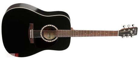 ART & LUTHERIE Cedar Black: akustická kytara