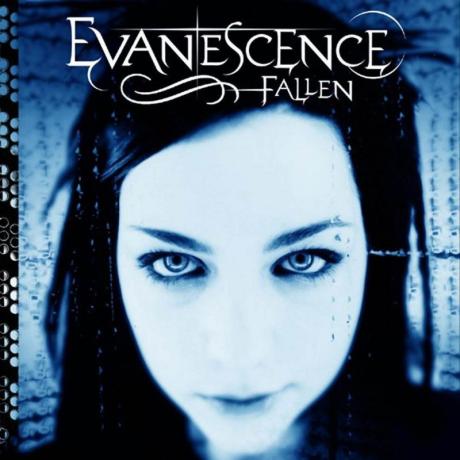 Letem kytarovým světem - Evanescence