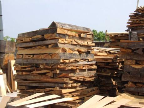 Uskladněné dřevo připravené pro výrobu