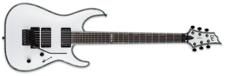 ESP/LTD: H-1001 FR SW