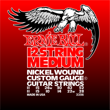 Ernie Ball: 12 String Medium Nickel Wound