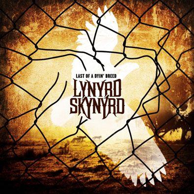 Letem kytarovým světem - Lynyrd Skynyrd