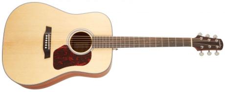 Walden Guitars D550E - akustická kytara tvaru dreadnought