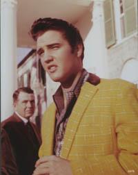 Elvis Digi Presley