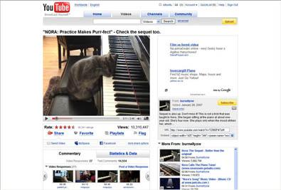 www tip - Piano pro kočku